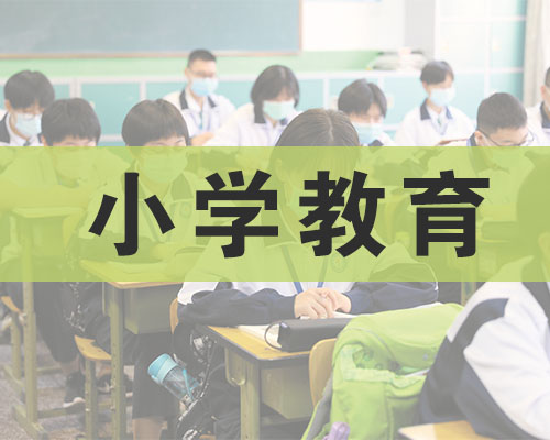 小学教育(自学考试)