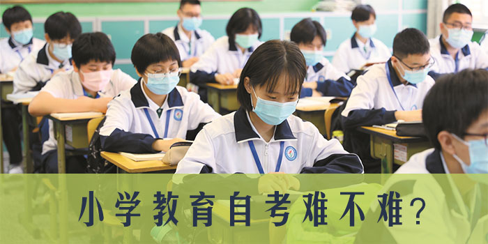 小学教育自考难不难.jpg