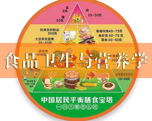 食品卫生与营养学